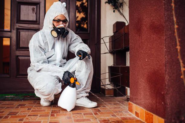Attic and Crawl Space Rodent Treatment in Strasburg