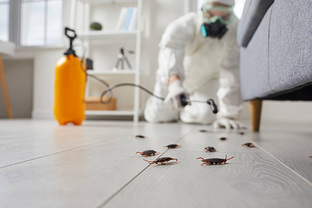 Commercial Rodent Management in Strasburg